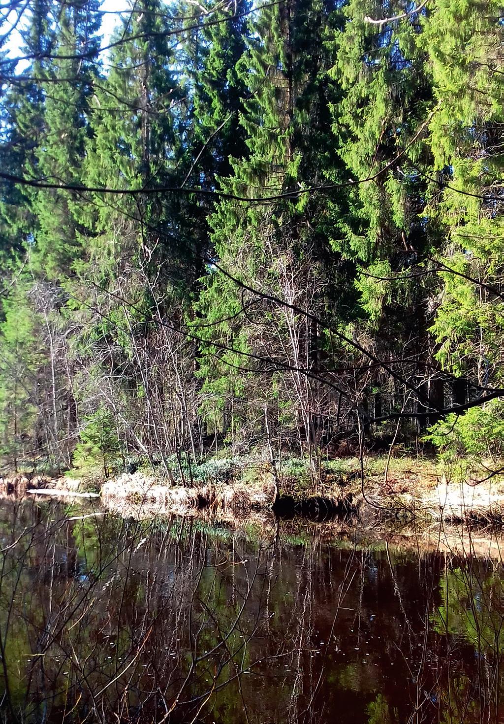 Ohjelma Kevät 2019 23.
