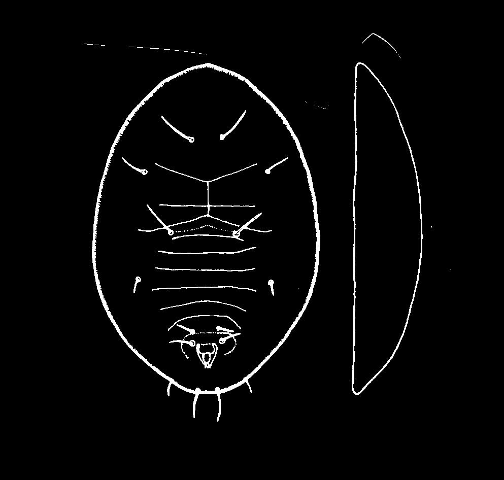 ! " 3)( 0 3## 3 #(