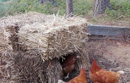 rakennusmateriaalina voidaan käyttää