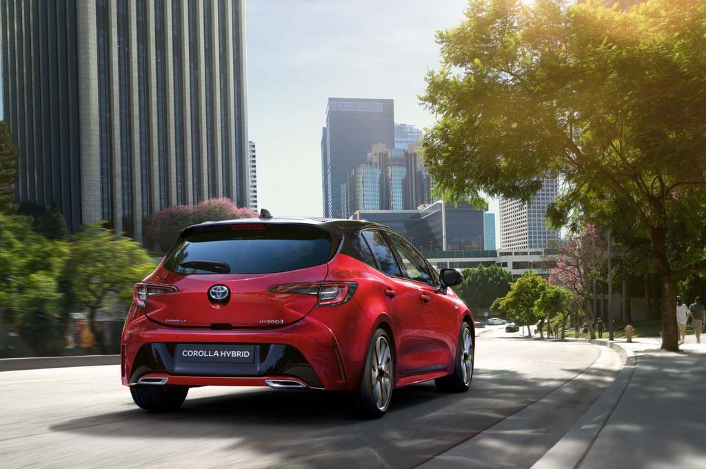 HYBRIDI 5