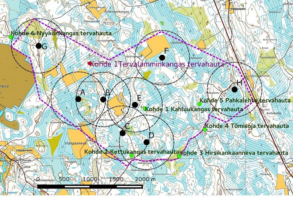 Hankkeella voi olla vaikutusta yhteen muinaisjäännökseen, Hirsikankaannevan tervahautaan (vuoden 2014 raportin kohde 3), joka sijaitsee aivan Haukilahdentien pohjoispuolella.