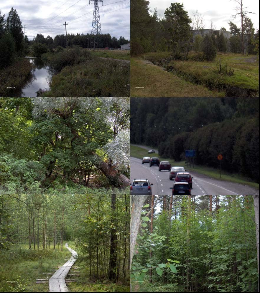 KAARELAN LUONNONHOITOSUUNNITELMA VUOSILLE 2008 2017