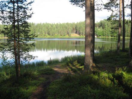 Erityiset näkökulmat ja keskustellut käsitteet: Näkökulmat: Lapset