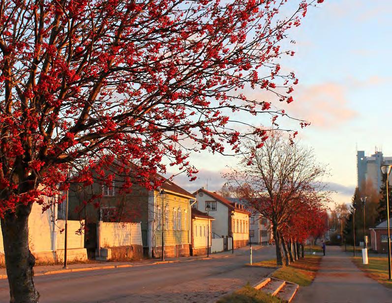 Asemakaavojen ajanmukaisuuden arviointi MRL 60 Kunnan tulee seurata asemakaavojen ajanmukaisuutta ja tarvittaessa ryhtyä toimenpiteisiin vanhentuneiden asemakaavojen uudistamiseksi.