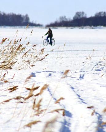 MAAKUNTAKAAVOITUS Maakuntakaava on maankäyttö- ja rakennuslain mukainen useampaa kuin yhtä kuntaa koskeva yleispiirteinen maankäytön suunnitelma.