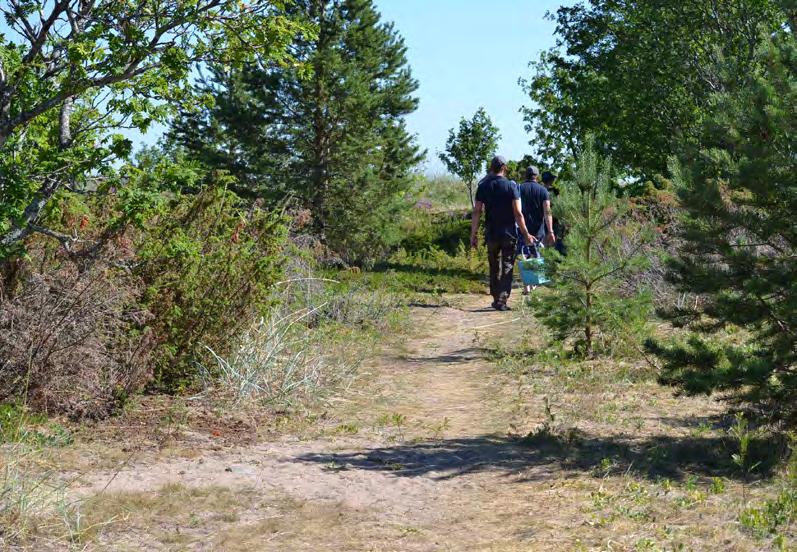Pohjois-Pohjanmaan 2.vaihemaakuntakaava Pohjois-Pohjanmaan voimassa olevia maakuntakaavoja täydennetään ja päivitetään kolmessa vaiheessa. Maakuntahallitus on 18.3.