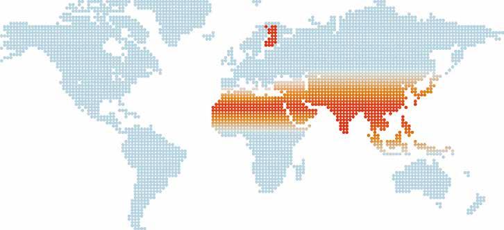 10 Kun pääsen tapaamaan muita kristittyjä, olen kuin taivaassa 1ARABIA Kiitos aivan valtavasti siitä, että autoitte minut yhteyteen toisten kristittyjen kanssa.
