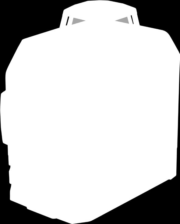 Virtapainike 5.