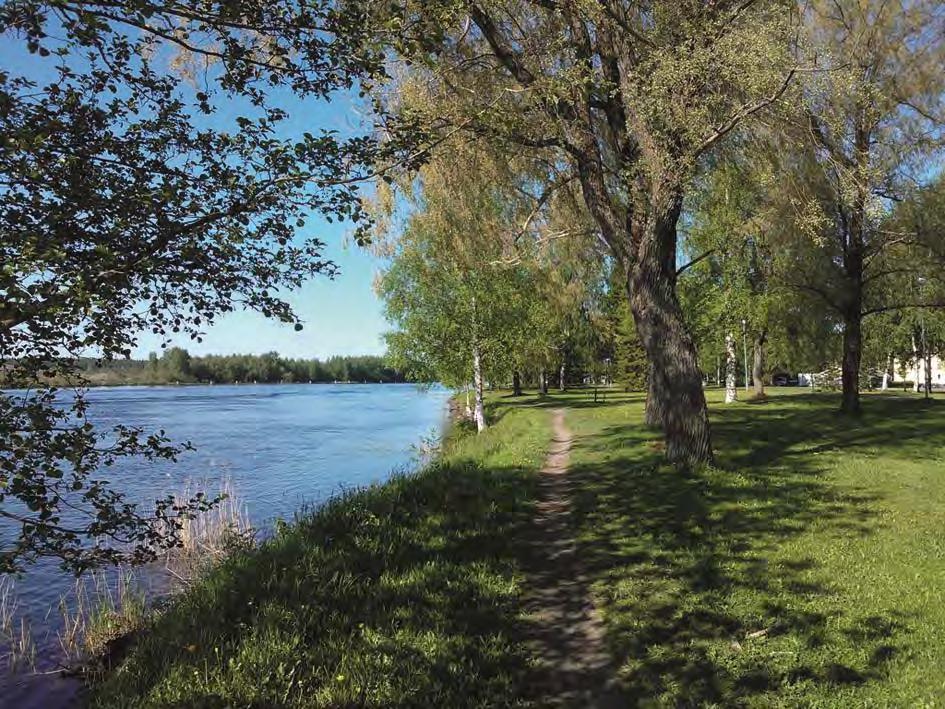 Vastaanottaja Joensuun kaupunki Asiakirjatyyppi Luontoselvitys