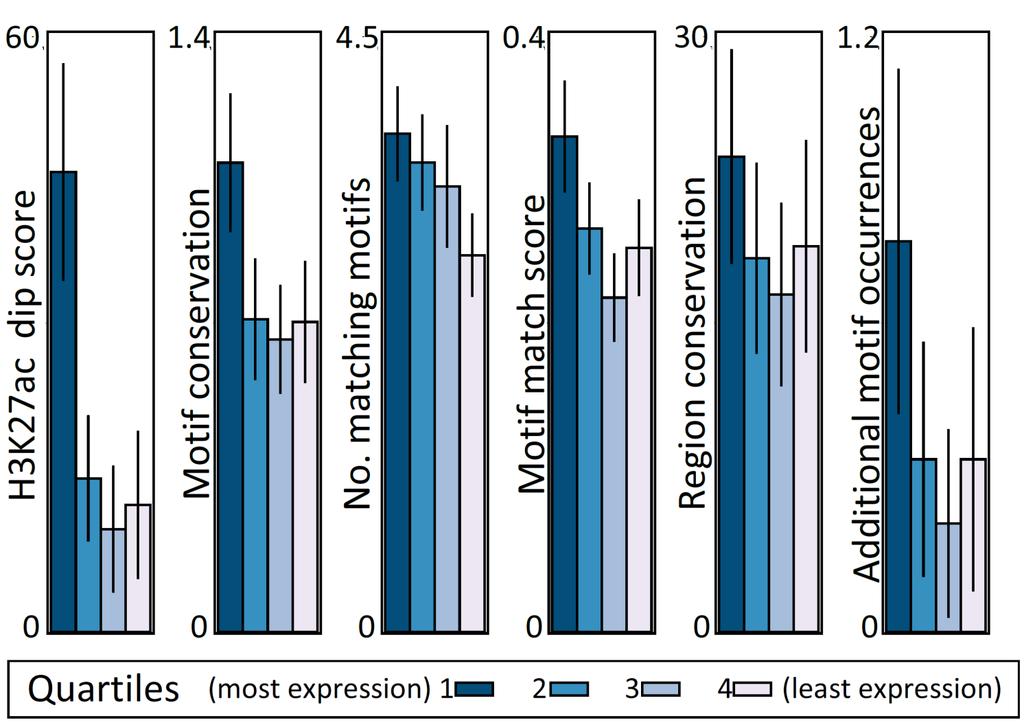 Features of functional wildtype enhancers Nucleosome exclusion, motif