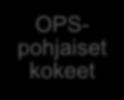seulat Testit + observointi + haastattelu