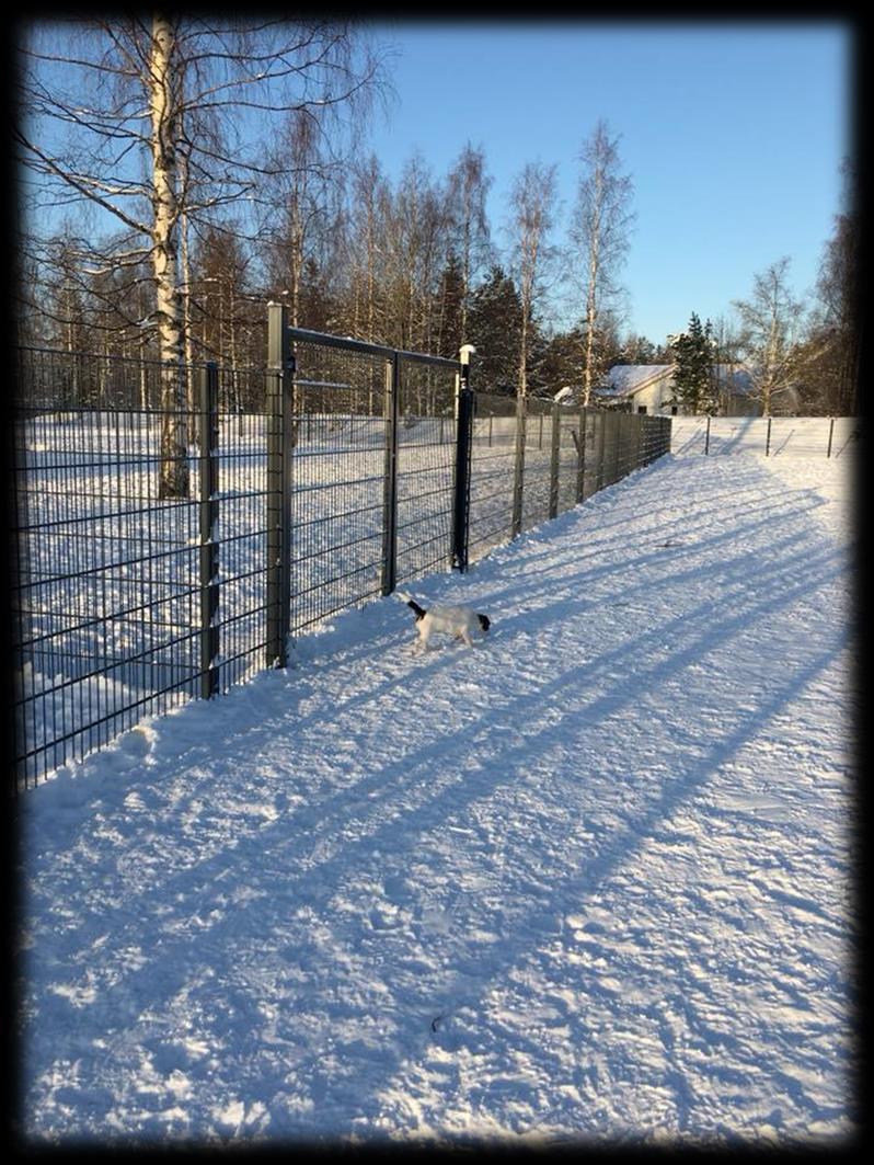 HARRASTUSKOIRAJAOSTON TOIMINTAKERTOMUS v. 2018 Harrastuskoirajaosto: Seppälä Auvo pj.
