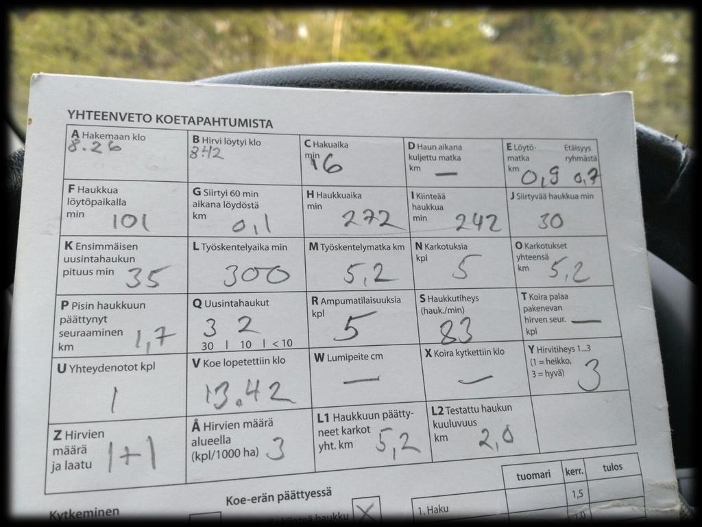 YLIVIESKAN KENNELSEURA RY TOIMINTASUUNNITELMA VUODELLE 2019 Yhdistyksemme toiminta periaatteita noudattaen järjestetään jäsenille tilaisuuksia kennelharrastuksena jatkumiseen ja edelleen