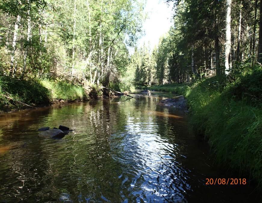 Kalataloudellisen kunnostuksen työnohjauksesta vastasi ProAgria Oulu ry / Oulun Kalatalouskeskuksen asiantuntijat. 2.