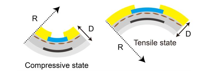 These two different bending stresses have different effect on the printed line. The daisy chain structure lines face both compressive and tensile stress.