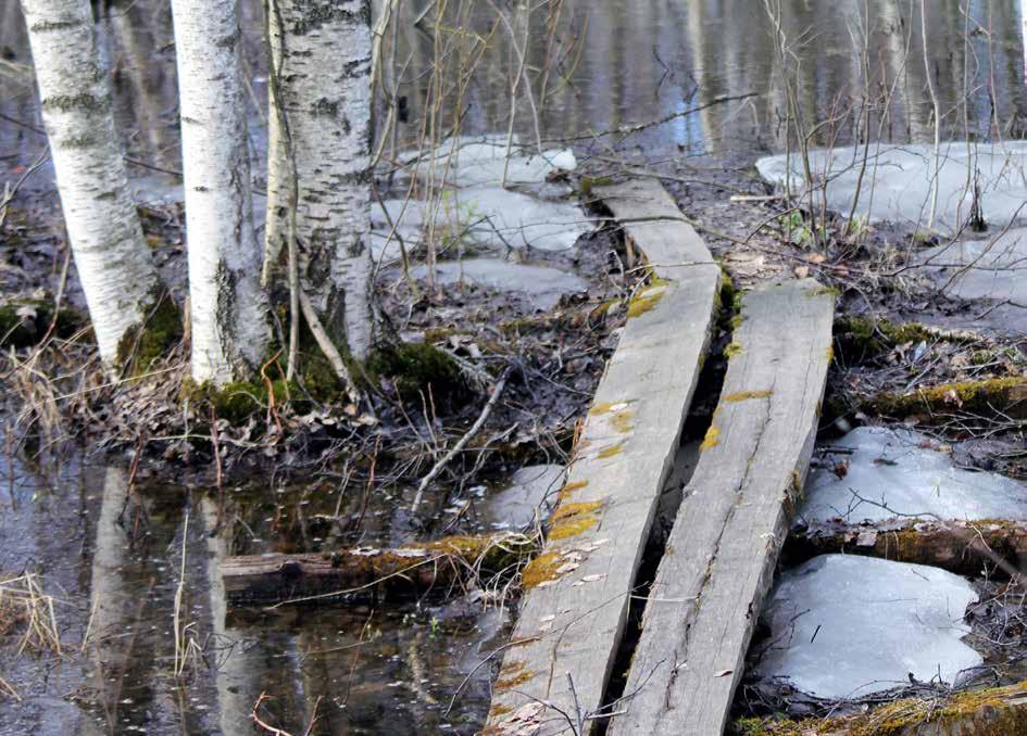 4 Vähäjärven pitkospuut ovat jo parhaat päivänsä nähneet ja tästä syystä Härmälän Omakotiyhdistys ilmoitti kaupungille halukkuutensa korjata talkoilla pitkospuut kulkemiskuntoon.