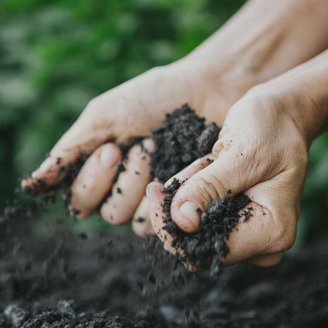 Peat Refinery 2030