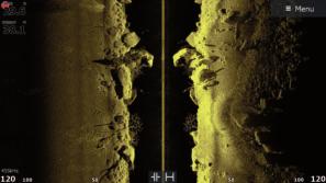 Kala Täkyparvi Rakenne FishReveal Smart Target -näkymä Active Imaging DownScan, jossa FishReveal Kala