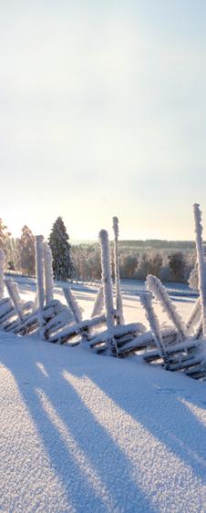 Lähtökohdat LUONNON LÄHEISYYTTÄ Ilomantsi on Suomen ja EU:n itäisin manneralueen kunta. Pinta-alaa kunnalla on 3172 km2 ja väestöä 5128 henkeä (31.12.2017).