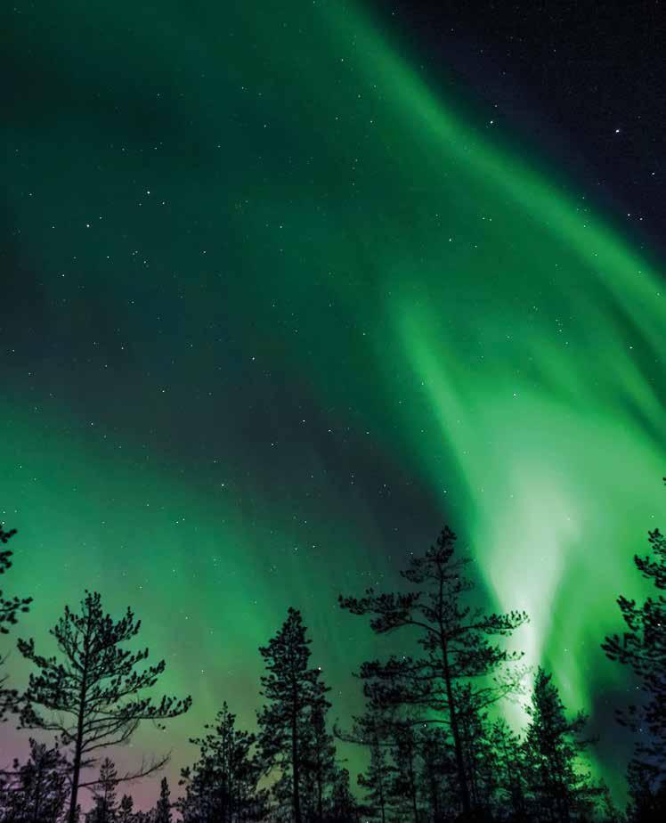 seikkailun tunne INSPIROIVIA SEIKKAILUJA rovaniemi apukka resort helsinki Unelmien perässä revontulia jahtaamassa JOTKUT IHMISET EIVÄT USKALLA UNELMOIDA, KOSKA HE PELKÄÄVÄT PETTYMYKSIÄ.