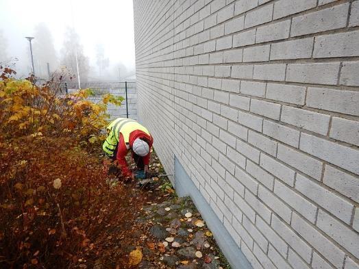 10 Kuva 83. Näytteiden US2.