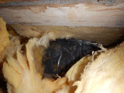 4 Johtopäätökset ja jatkotoimenpiteiden arviointi Liikuntasalin yläpohjan mineraalivillaeristeet ovat vaurioituneet kosteuden vaikutuksesta salin verhon kohdalla olevan korotuksen alueella.