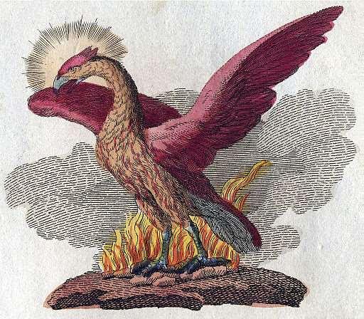 2. Elohopea nousee tuhkasta uudelleen ja uudelleen A phoenix in a book by
