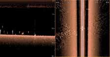 kalaparvea SIDEVISION KAIKULUOTAIN ERINOMAINEN KAIKULUOTAIN Vedenalainen puu Hylky Kala Axiom- ja Axiom Pro n