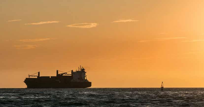 48 AIS RAYMARINE AIS AIS (Automatic Identification System) -järjestelmät mahdollistavat langattoman navigointitietojen vaihdon alusten