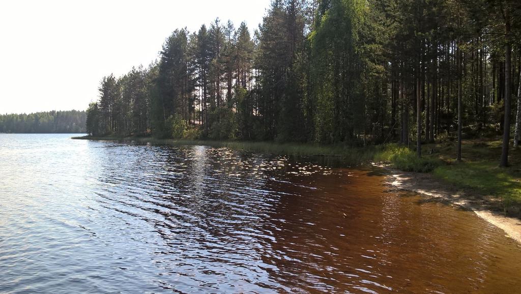 ILOMANTSIN KAAKKOISOSAN RANTAOSAYLEISKAAVAN MUUTOS SUUNNITTELU 14 Kuva 8. Niemen hienohiekkaisen ja hienosoraisen rannan maisemaa. Veden pinnan korkeusvaihtelut ovat melko vähäiset.