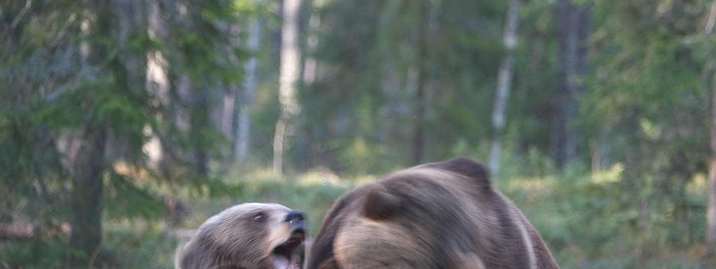 Hyvää jatkoa