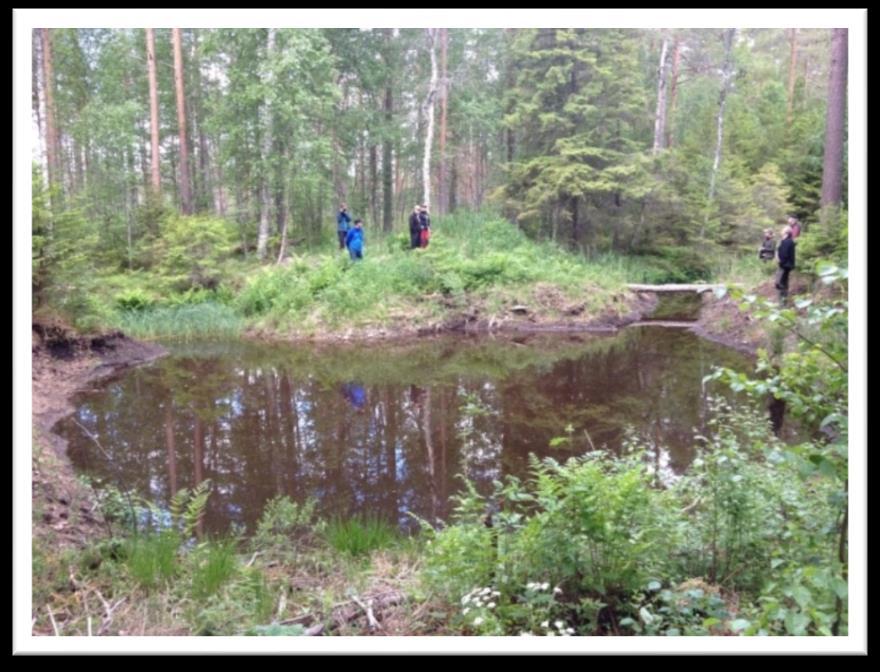 Laskeutusaltaan laskuojaa ei suositella kunnostettavaksi.