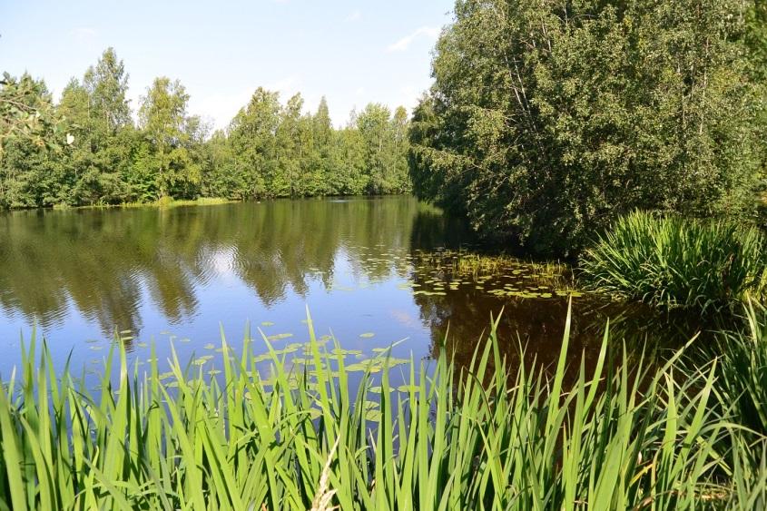 Kuva E. Seinäjoki alueen pohjoisrajana; vesilain 1961/264 1 luvun 15a, 17a :n kohde Kuva F.