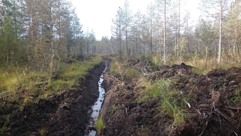 Arkeologinen inventointi 2 3 Perustietoa inventointialueesta Selvityksen kohteena olleen alueen pinta-ala on noin 390 ha.