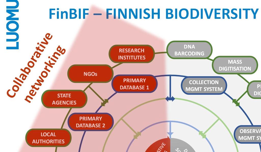 FinBIF FINNISH BIODIVERSITY INFORMATION FACILITY STATE AGENCIES LOCAL