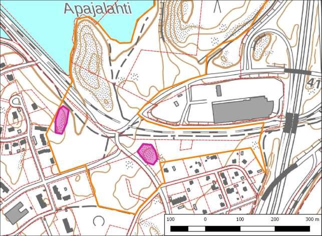 9 Kuusentaimikon koillisreunalla sijaitsevalta melko avoimelta kasvupaikalta löytynyt yksilö oli ohikukkinut ja sen varsi oli katkennut noin 40 cm:n korkeudelta.