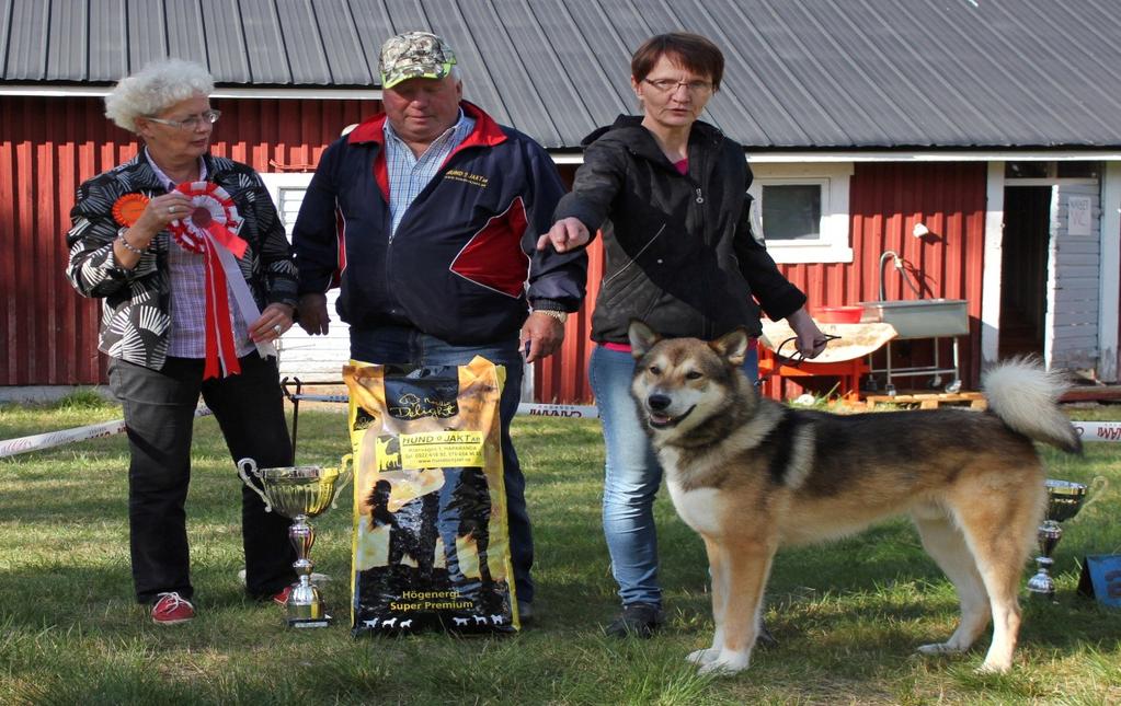 1 RYHMÄNÄYTTELY Kemijärvi, Javarus 16.8.