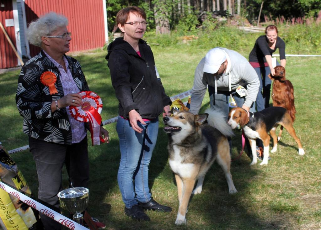 Maxi, om Seppo Huhtala ja Tarja Hiltunen, Ahvenselkä BIS 2 suomenajokoira