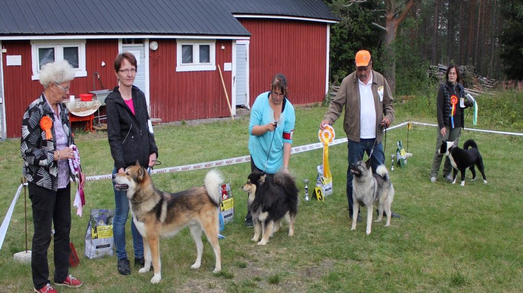 2 Ryhmän 5 paras, tuomari Tuula Savolainen 1. itäsiperianlaika Korpi kyyneleen Maxi, om Seppo Huhtala ja Tarja Hiltunen, Ahvenselkä 2.