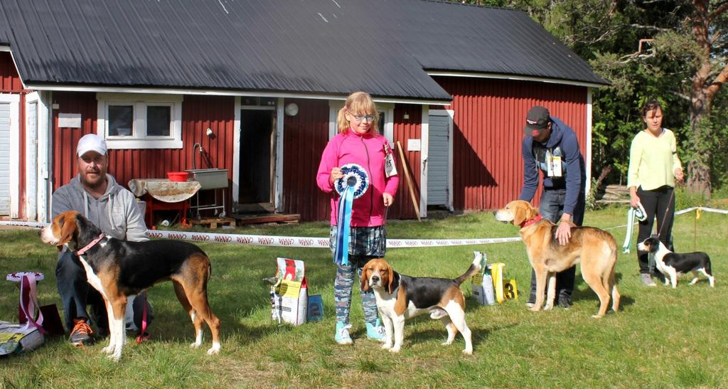 karjalankarhukoira Neeta, om Marja-Leena Juujärvi, Lunkkaus Ryhmän 6 paras, tuomari Raimo M Viljanmaa 1.