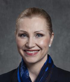 Finnair, johtaja, Digital Marketing 2010-2011 johtaja, internet-myynti ja kantaasiakasmarkkinointi 2009-2010 kaupallinen päällikkö, Global Customer Relationship, myynti 2008-2009 myyntipäällikkö,