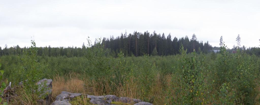 Kuvan yläosassa