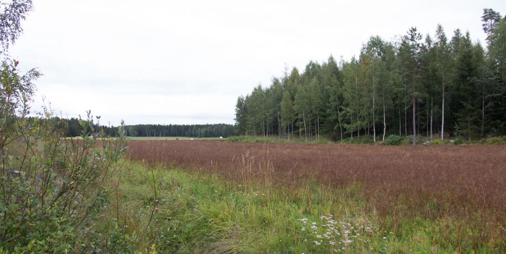 Kuminapelto. Kulttuurimaisema Kaava-alue on osa Vesilahden valtakunnallisesti arvokasta maisema-aluetta, Vesilahden kulttuurimaisemaa.