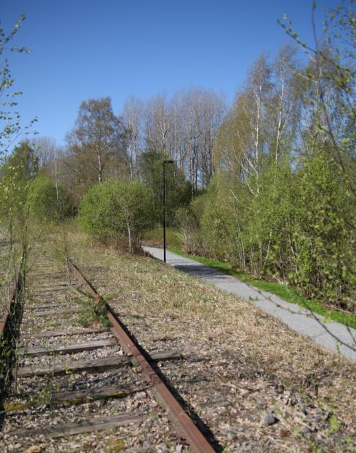 Lakkautettavaksi esitettävän rataosan rautatiealueella ei ole laadittu erillistä luontoselvitystä, sillä purkutoimenpiteet eivät kohdistu rakentamattomille alueille.