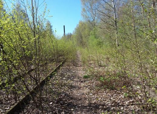 3 4.3 Kaavoitus ja maankäyttö Lohja Lohjanjärvi -rataosan lakkauttaminen Rovastinkadun Pappilan ylikulkusillalta länteen poikkeaa sekä Uudenmaan voimassa olevien maakuntakaavojen että valmisteilla