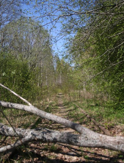 puhdistustarvetta. Ratarakenteiden purkamisen yhteydessä tehtävien tarkentavien tutkimusten ja riskinarvioinnin perusteella alueelta mahdollisesti löytyvät pilaantuneet maat tullaan puhdistamaan. 4.