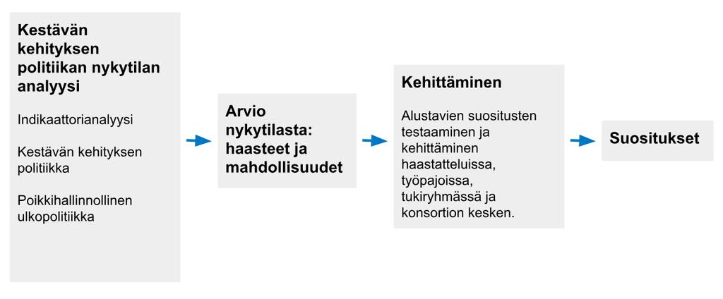 kestävän kehityksen ideat on hyväksytty politiikassa. Tarkastelimme myös, millaista informaatiota on käytetty politiikan tueksi, ja kuinka tieto on ohjannut politiikan suuntaa.