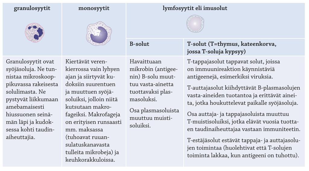 Valkosolut