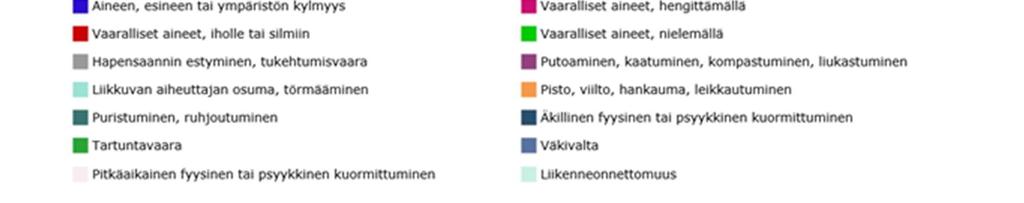 Merkityksellisemmät tapaturmariskit ovat erilaiset kaatumiset ja kompastumiset, törmääminen, väkivalta ja äkillinen kuormittuminen sekä pisto- ja viiltotilanteet.