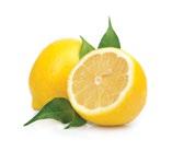 15ml Citrus Mint Blend Nauti Epoch Sunshinen sisältämästä kirpeän tasapainoisesta eteeristen sitrus- ja minttuöljyjen sekoituksesta.